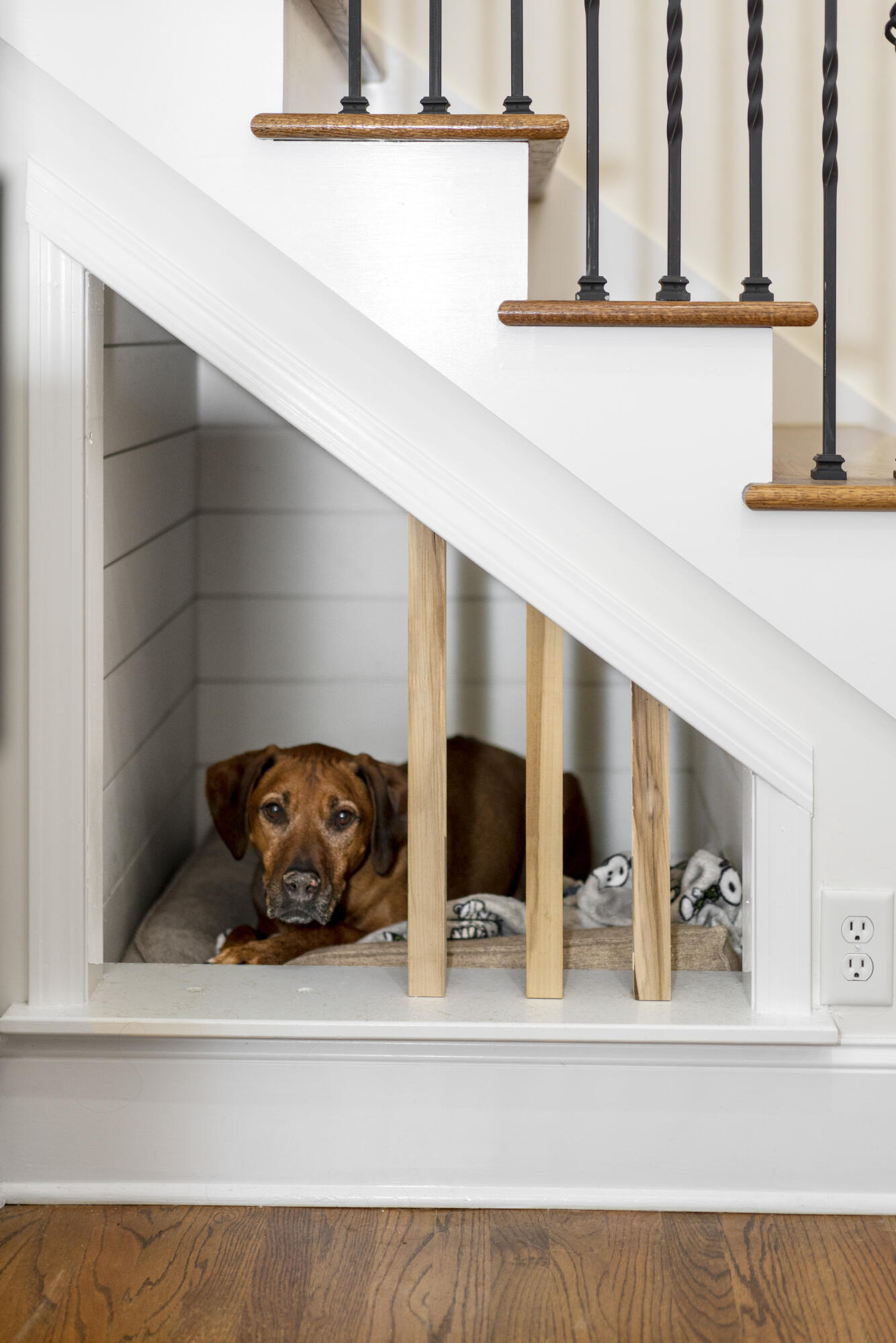 8007 Turkey Run Road Ooltewah, TN 37363 - Photo 8 of 50 Dog Room