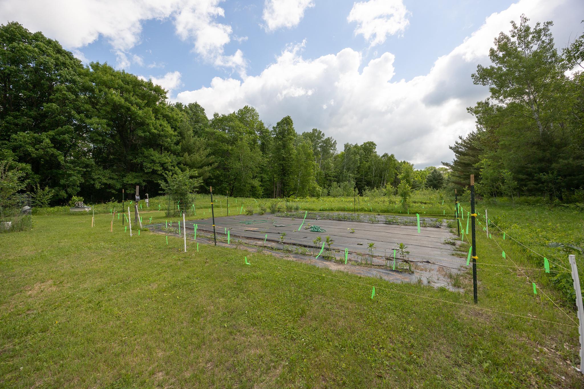 2251 Fahrenholz Road Northeast Longville, MN 56655 - Photo 55 of 62