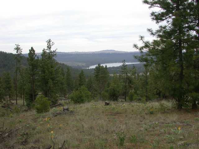 0 Corkscrew Canyon Road Tumtum, WA 99034 - Photo 1 of 4 Gallery Image 1