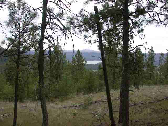 0 Corkscrew Canyon Road Tumtum, WA 99034 - Photo 3 of 4 Gallery Image 3