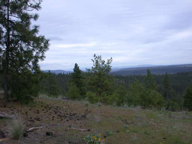 0 Corkscrew Canyon Road Tumtum, WA 99034 - Photo 4 of 4 Gallery Image 4
