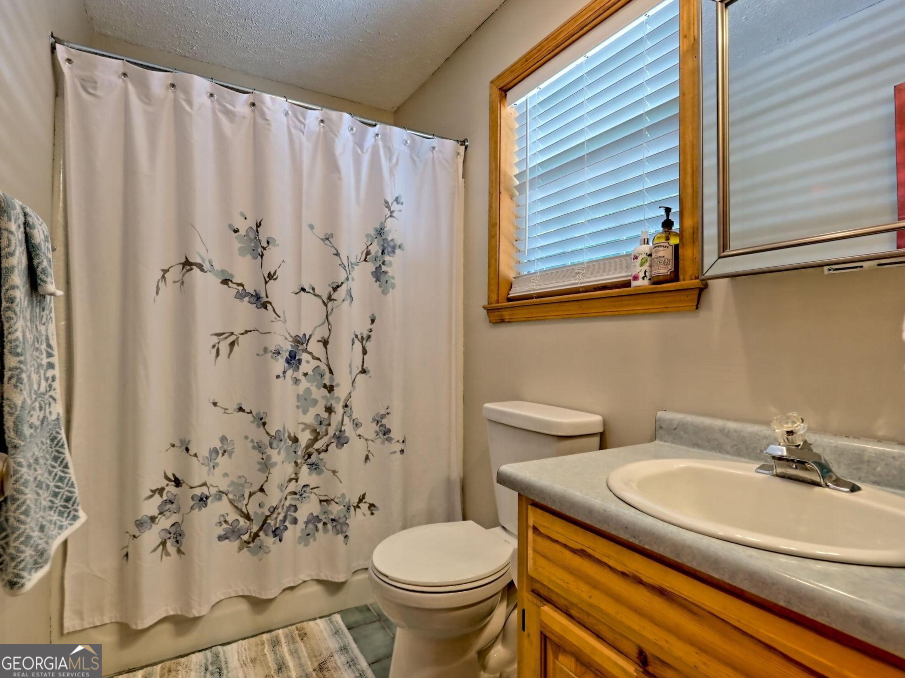 249 Spruce Creek Road Lakemont, GA 30552 - Photo 23 of 55 a bathroom with a sink and a toilet