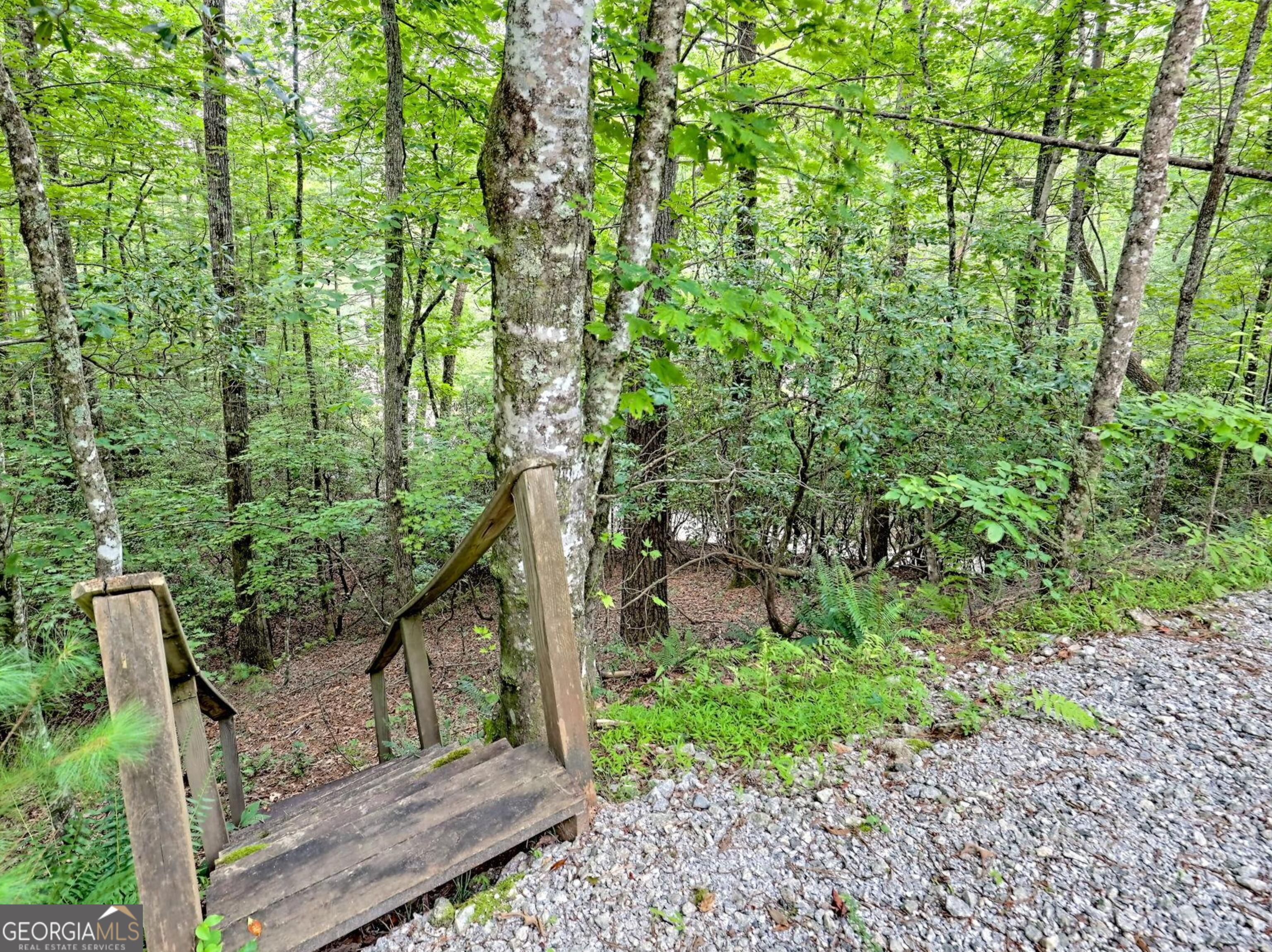 249 Spruce Creek Road Lakemont, GA 30552 - Photo 52 of 55 a view of outdoor space and yard