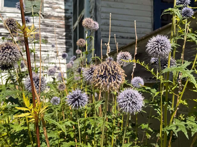 $324,000 | 1860 Presidential Highway, Jefferson, NH 03583