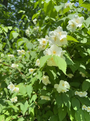 $324,000 | 1860 Presidential Highway, Jefferson, NH 03583