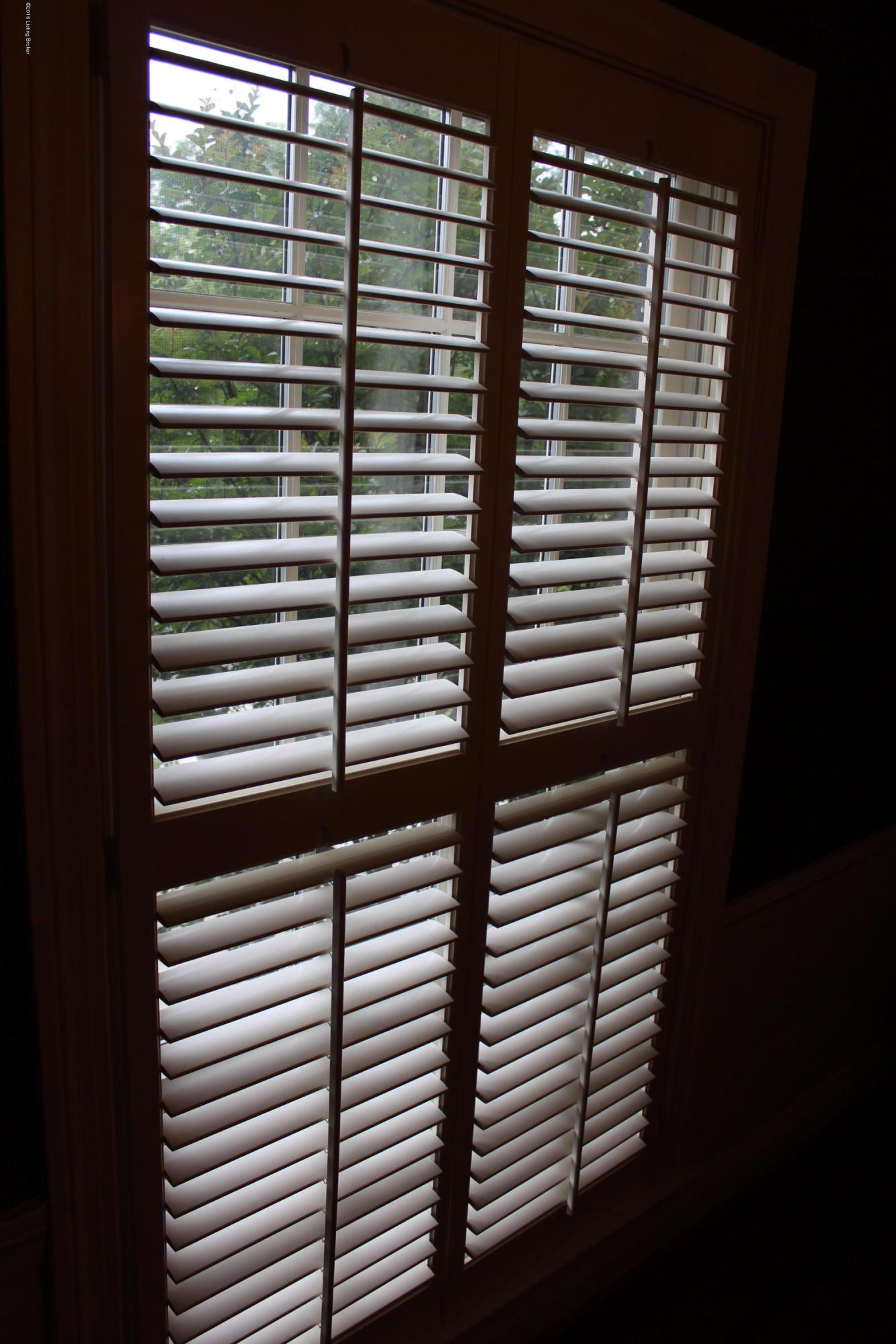 1701 Clayton Road Louisville, KY 40205 - Photo 8 of 48 Plantation Shutters