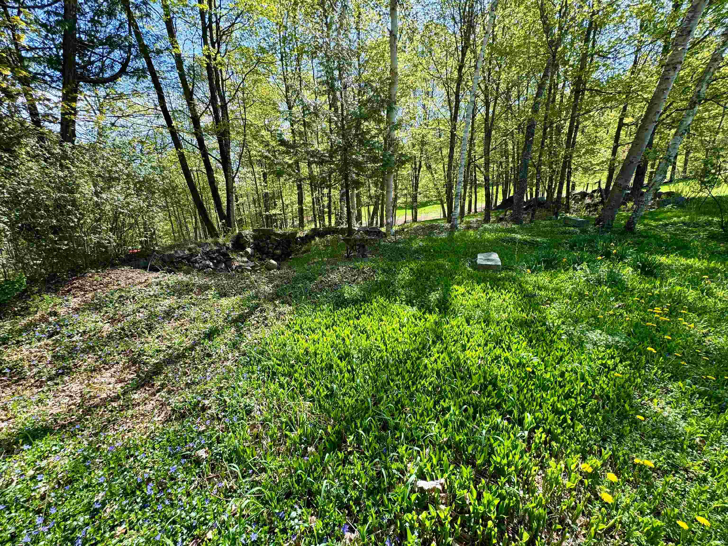 817 Topsham Road Newbury, VT 05051 - Photo 56 of 60
