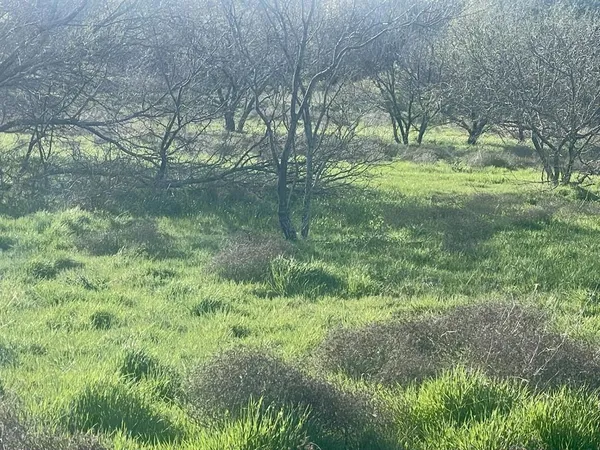 $299,000 | 1594 County Road 1886, Sunset, TX 76270