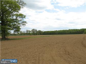 1870 Jacksonville Jobstown Road Columbus, NJ 08022 - Photo 4 of 11 Gallery Image 4