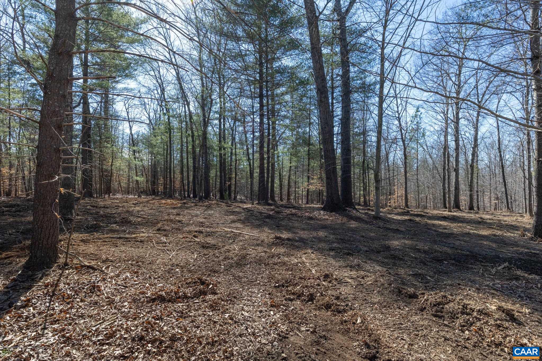Lot 4 Gilbert Station Road Barboursville, VA 22923 - Photo 3 of 11 Gallery Image 3