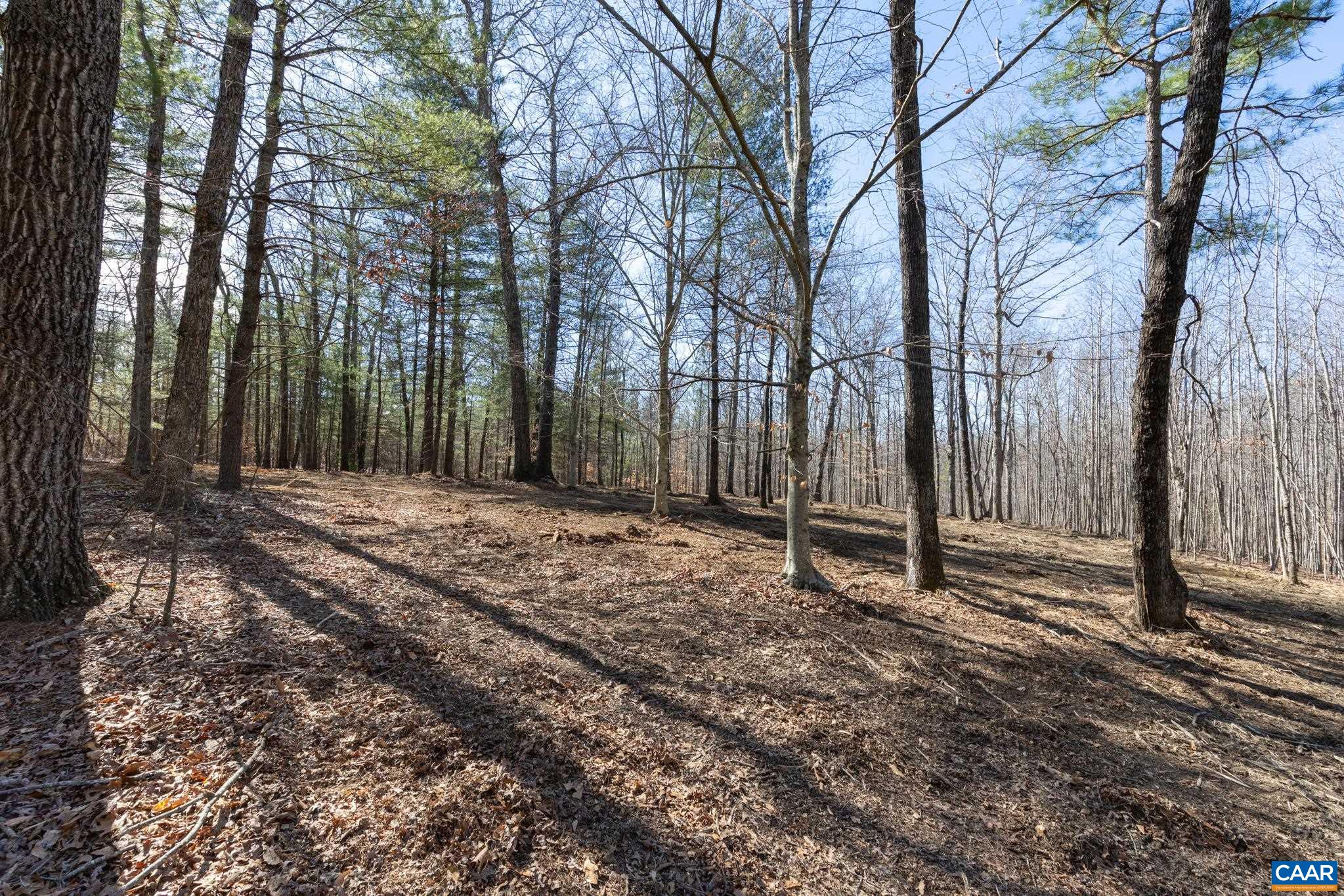 Lot 4 Gilbert Station Road Barboursville, VA 22923 - Photo 5 of 11 Gallery Image 5