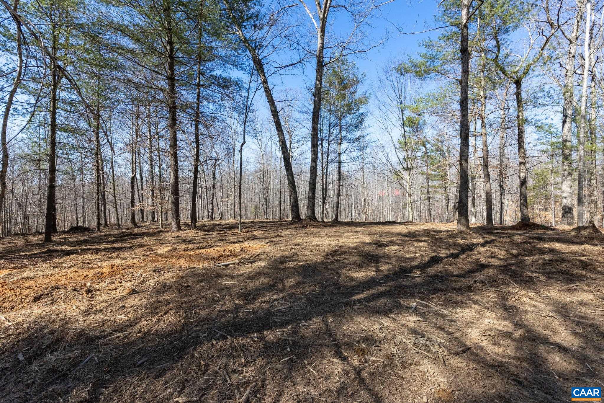 Lot 4 Gilbert Station Road Barboursville, VA 22923 - Photo 6 of 11 Gallery Image 6