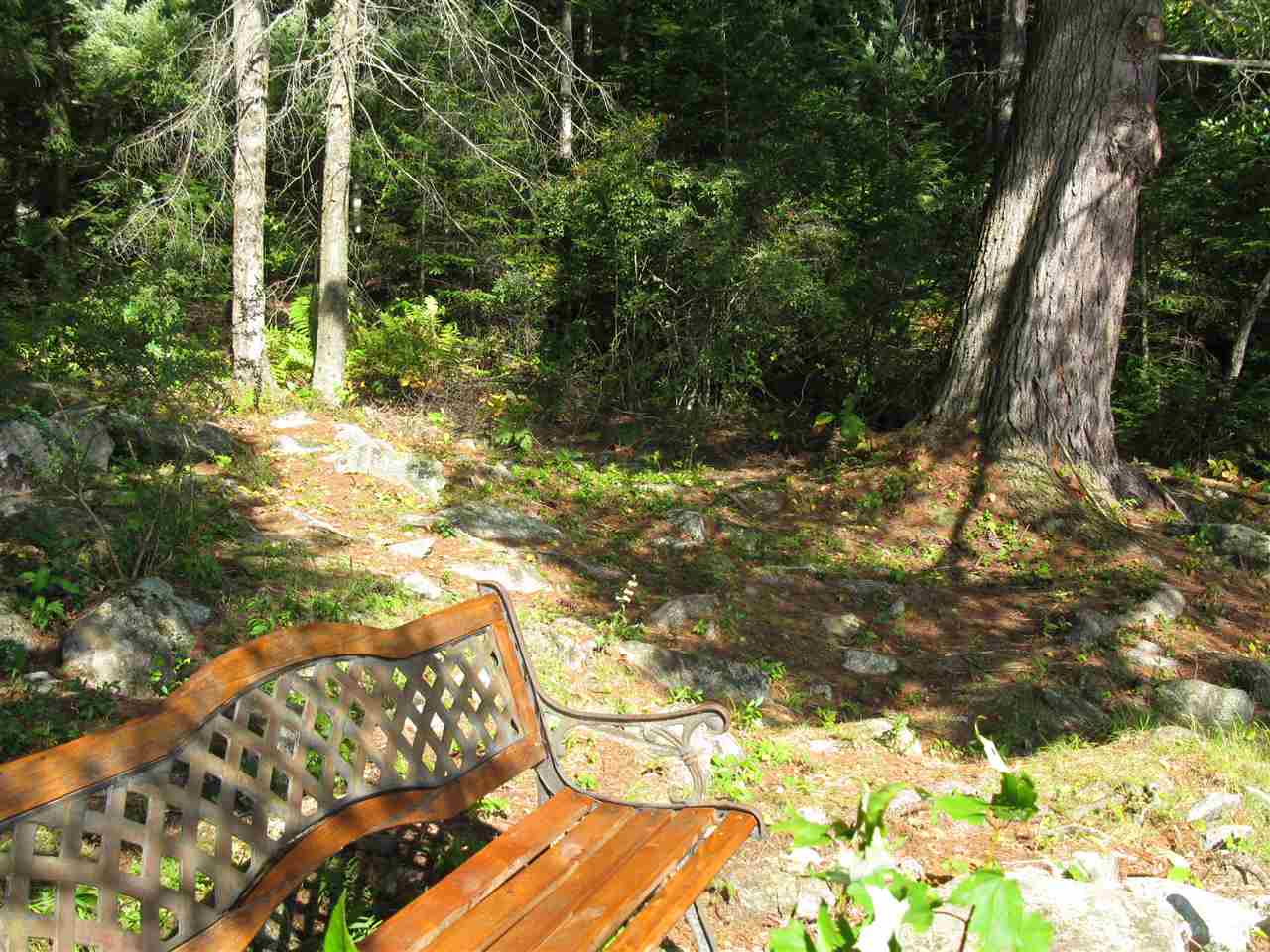 356 Forest Lake Road Dalton, NH 03598 - Photo 40 of 40