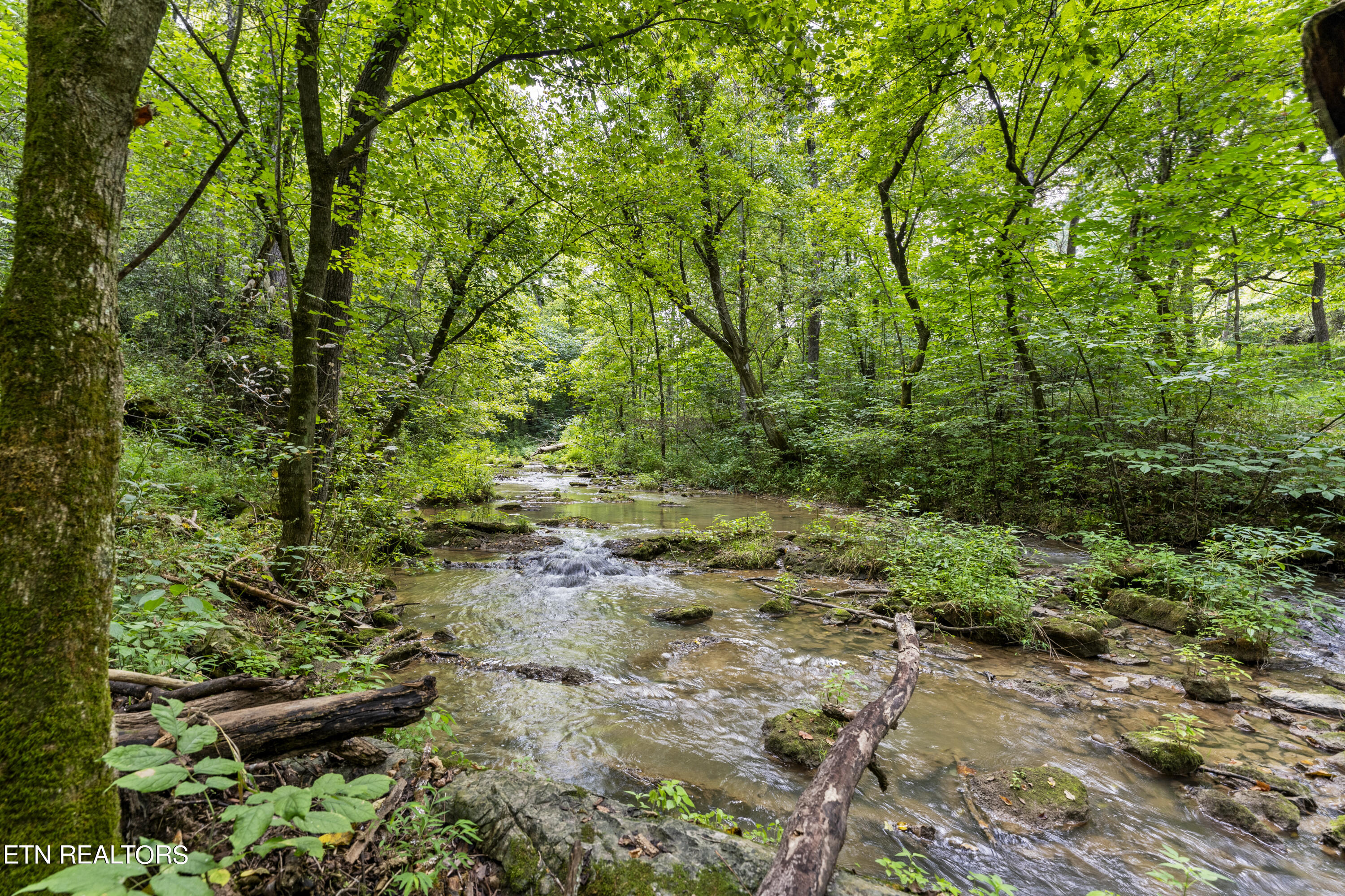 1485 Campbell Road Greeneville, TN 37745 - Photo 21 of 29 _DSC6674
