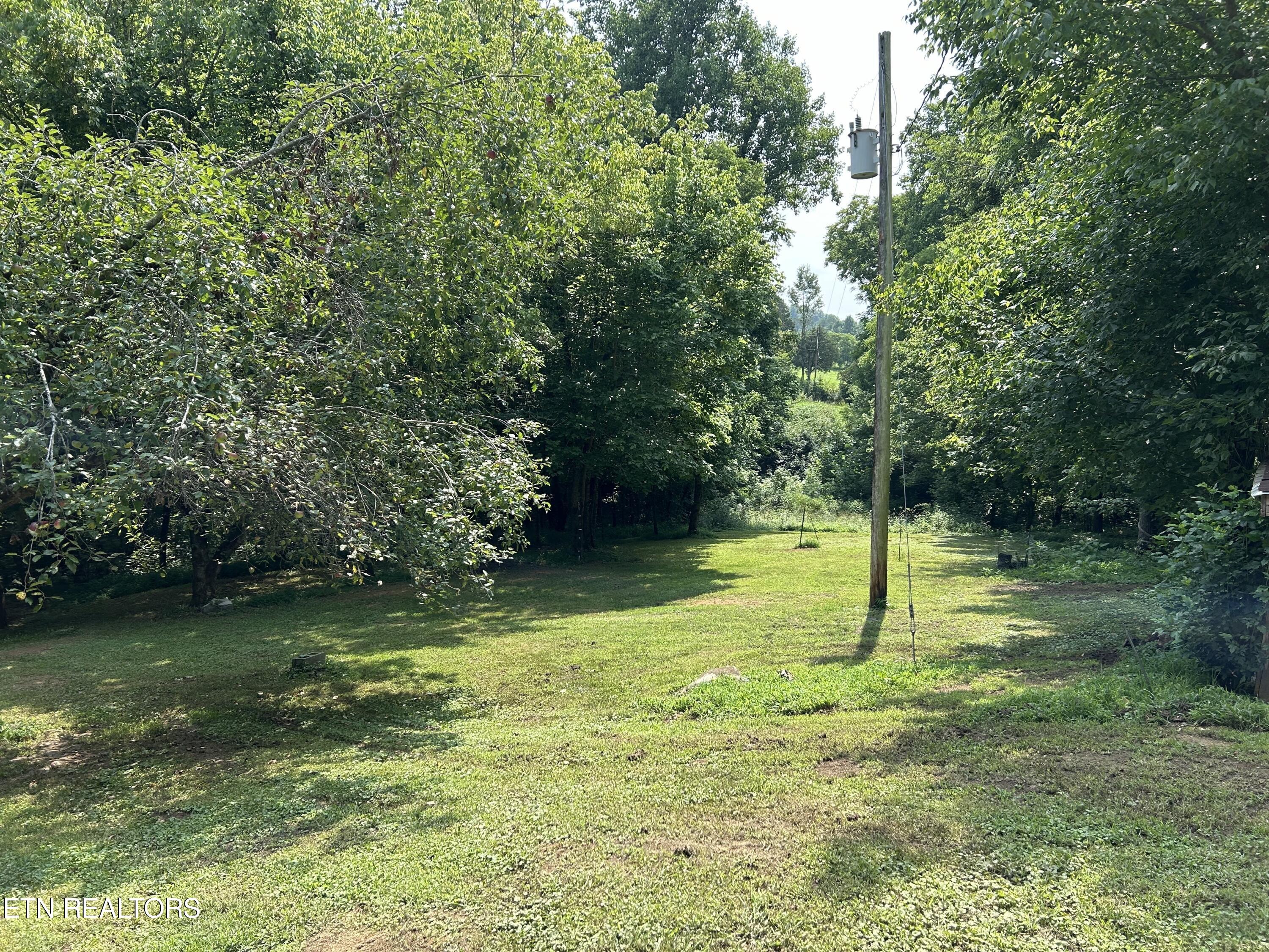 1485 Campbell Road Greeneville, TN 37745 - Photo 25 of 29 IMG_9512