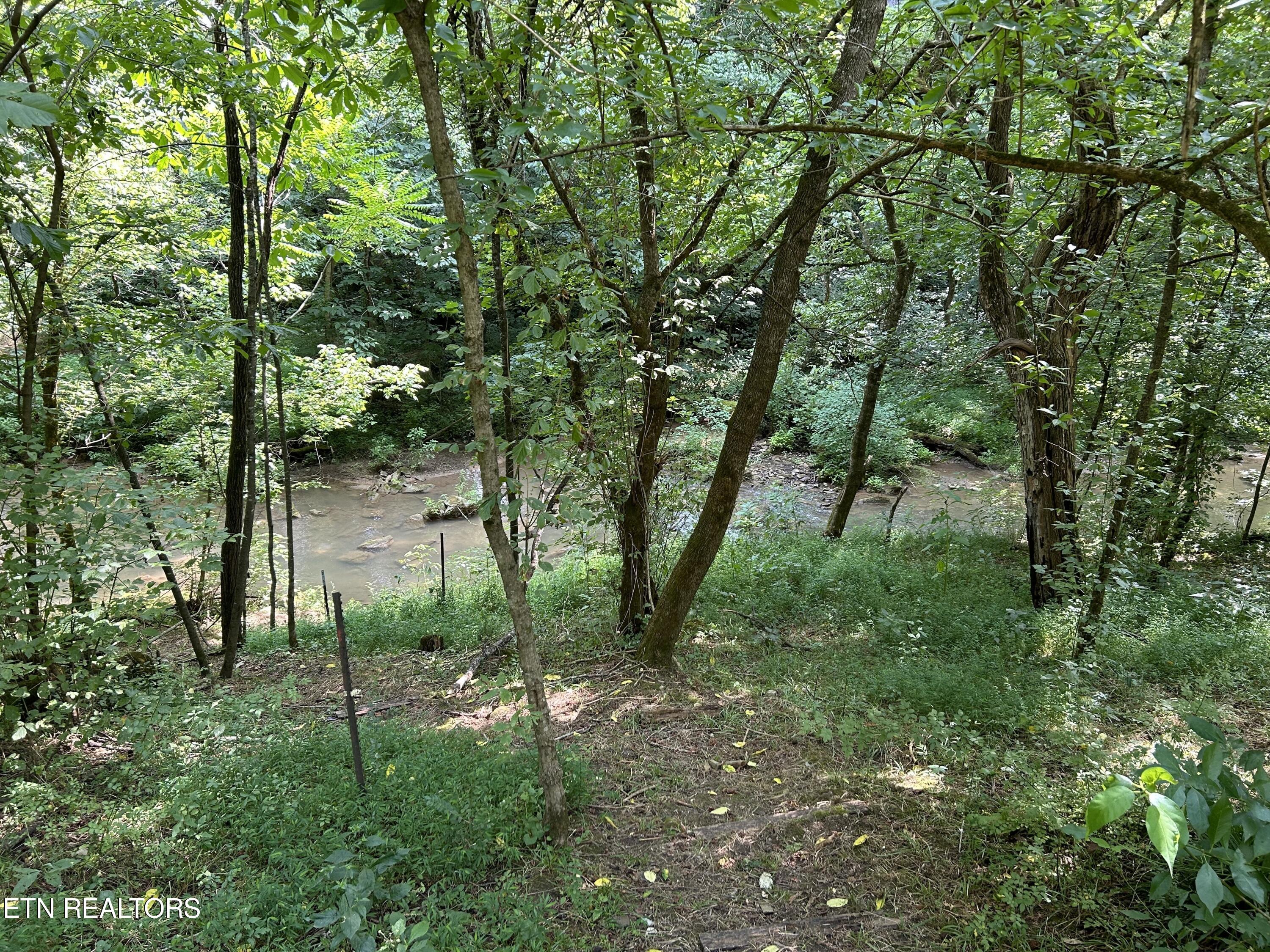 1485 Campbell Road Greeneville, TN 37745 - Photo 26 of 29 IMG_9515