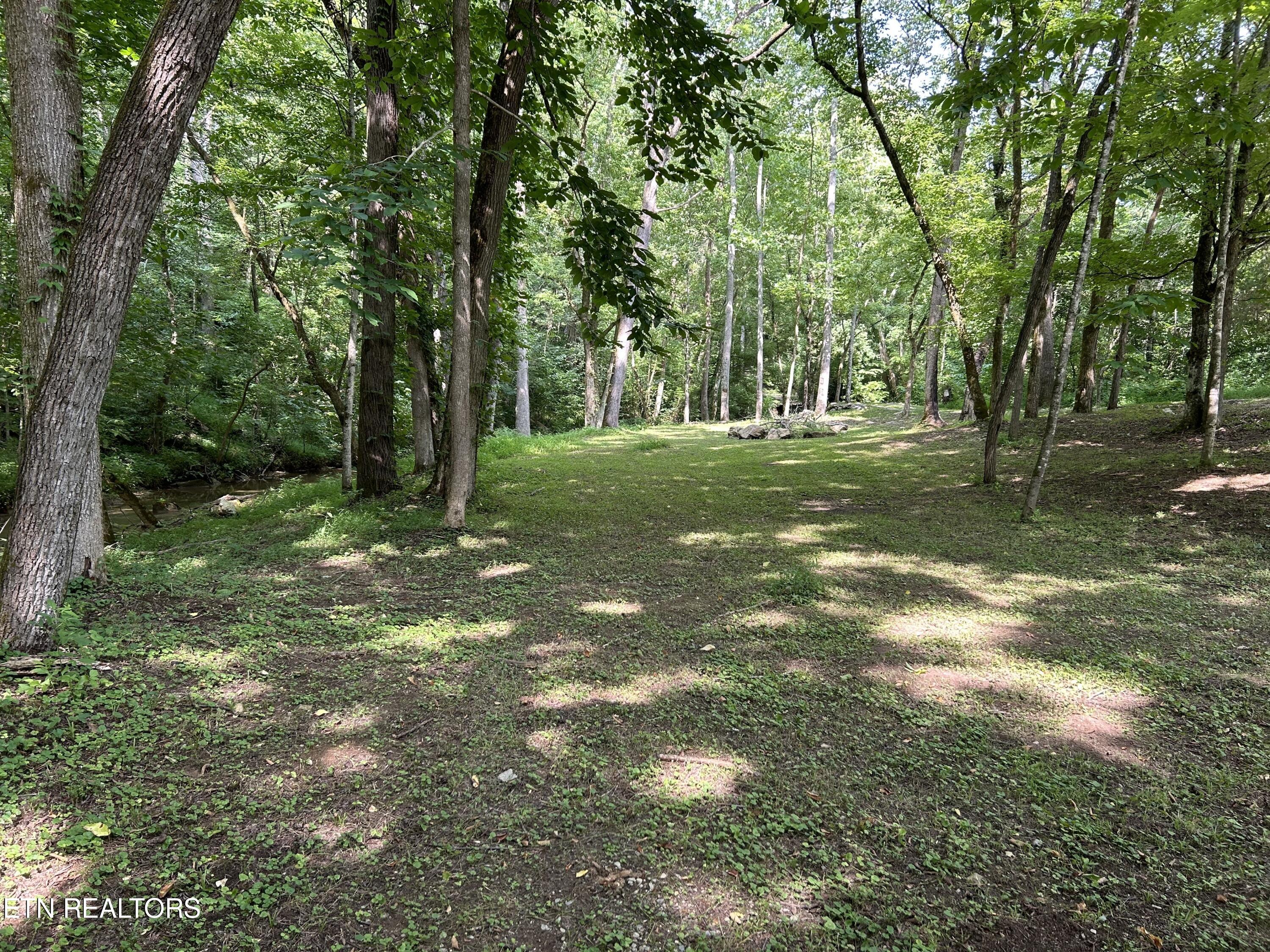 1485 Campbell Road Greeneville, TN 37745 - Photo 27 of 29 IMG_9519