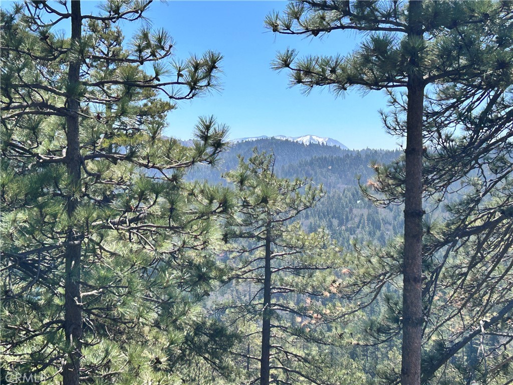 221 Grizzly Road Lake Arrowhead, CA 92352 - Photo 20 of 20 a view of a tree in a field