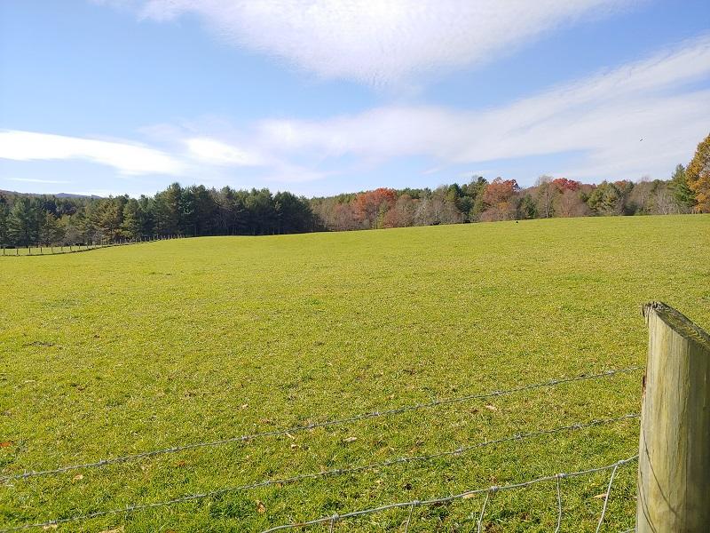 706 Alum Ridge Road Northwest Willis, VA 24380 - Photo 56 of 56 a view of an ocean from a beach