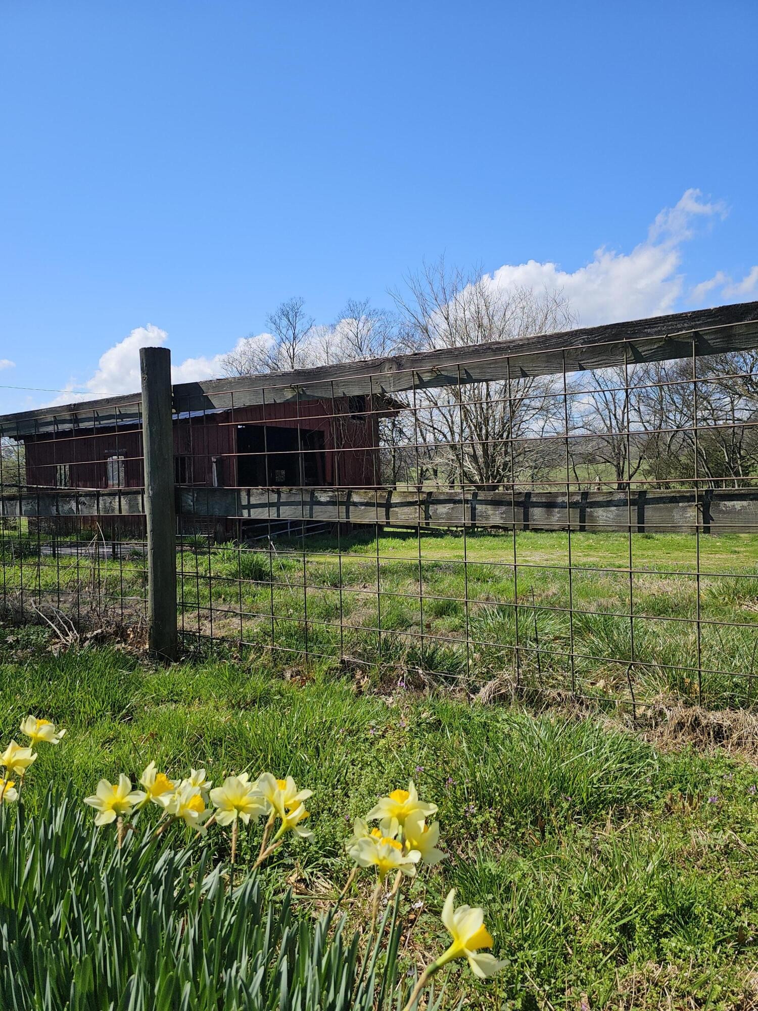 495 Lower East Valley Road Dunlap, TN 37327 - Photo 57 of 58 Gallery Image 57