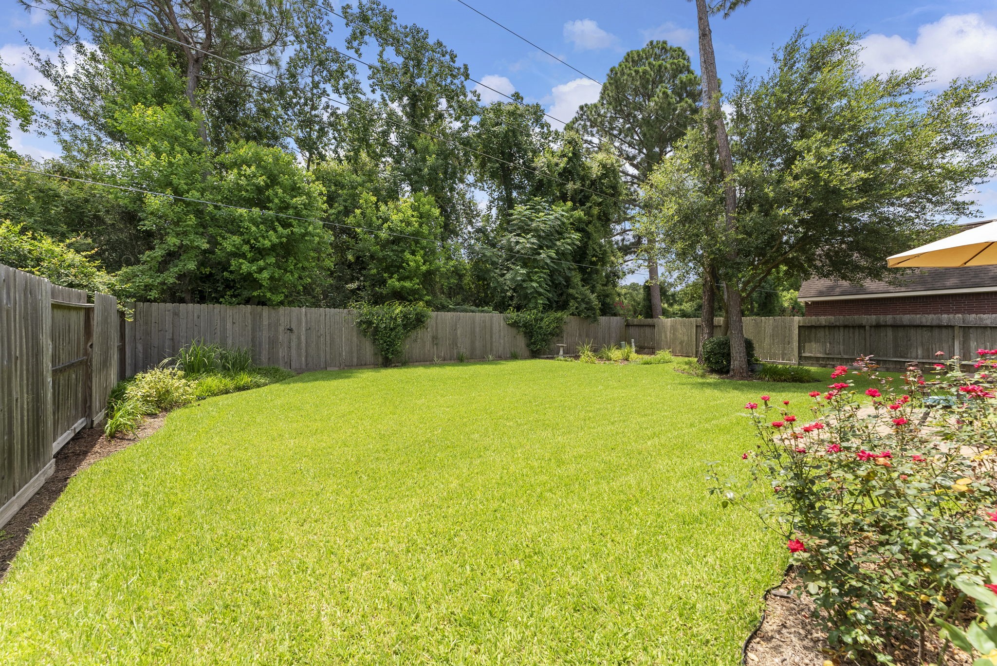 6643 Knollbridge Lane Spring, TX 77379 - Photo 30 of 50 This huge backyard has so much space for kids and pets to run around!