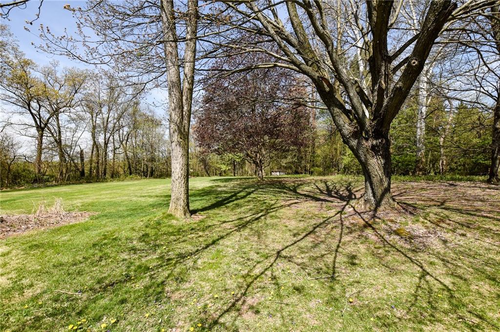 109 Neupert Road Cabot, PA 16023 - Photo 15 of 17 a view of backyard with tree