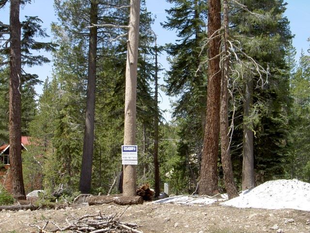 8549 Acorn Road Soda Springs, CA 95728 - Photo 2 of 7 Gallery Image 2
