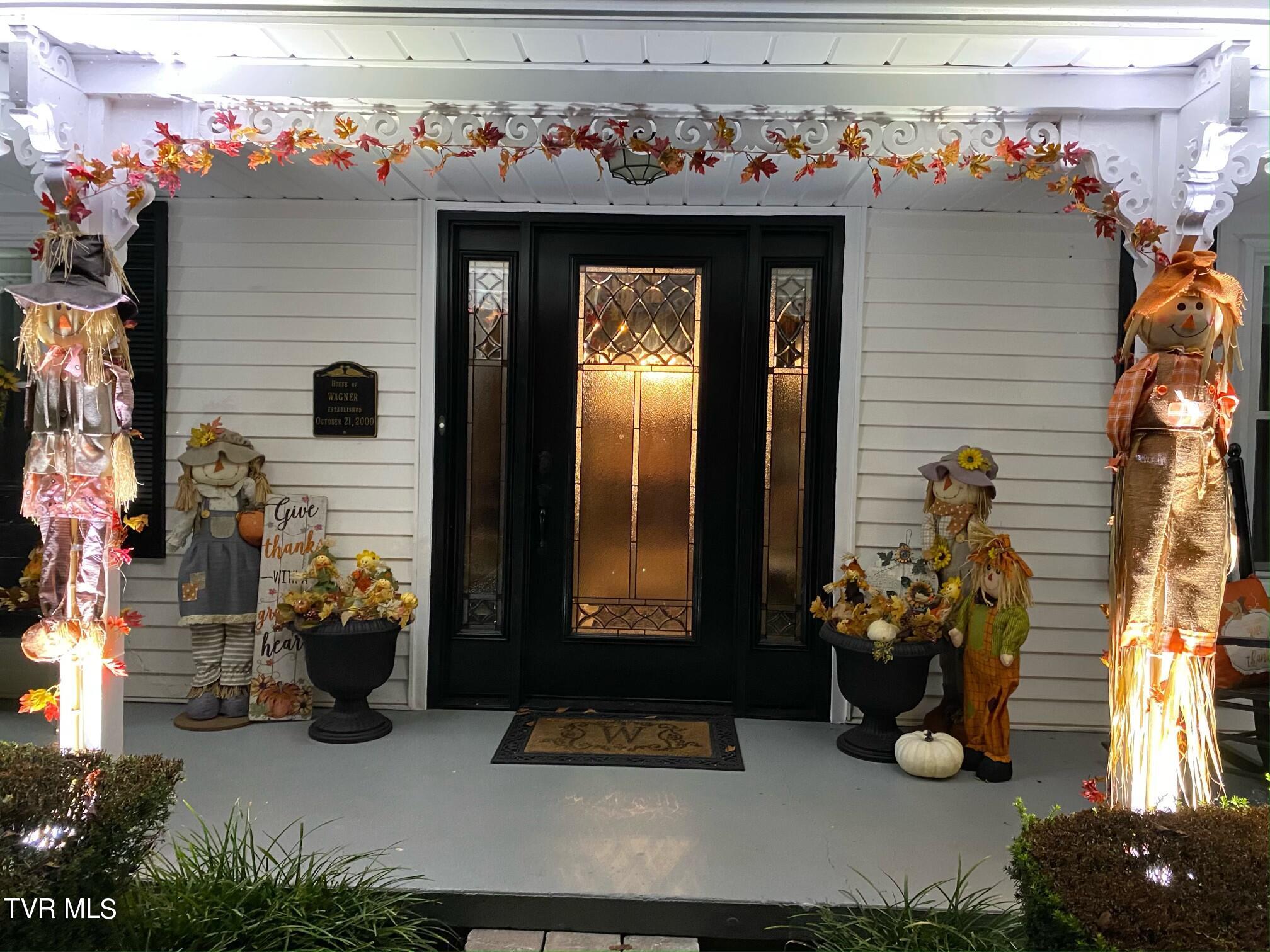 243 Bowmantown Road Jonesborough, TN 37659 - Photo 100 of 113 IMG_5803