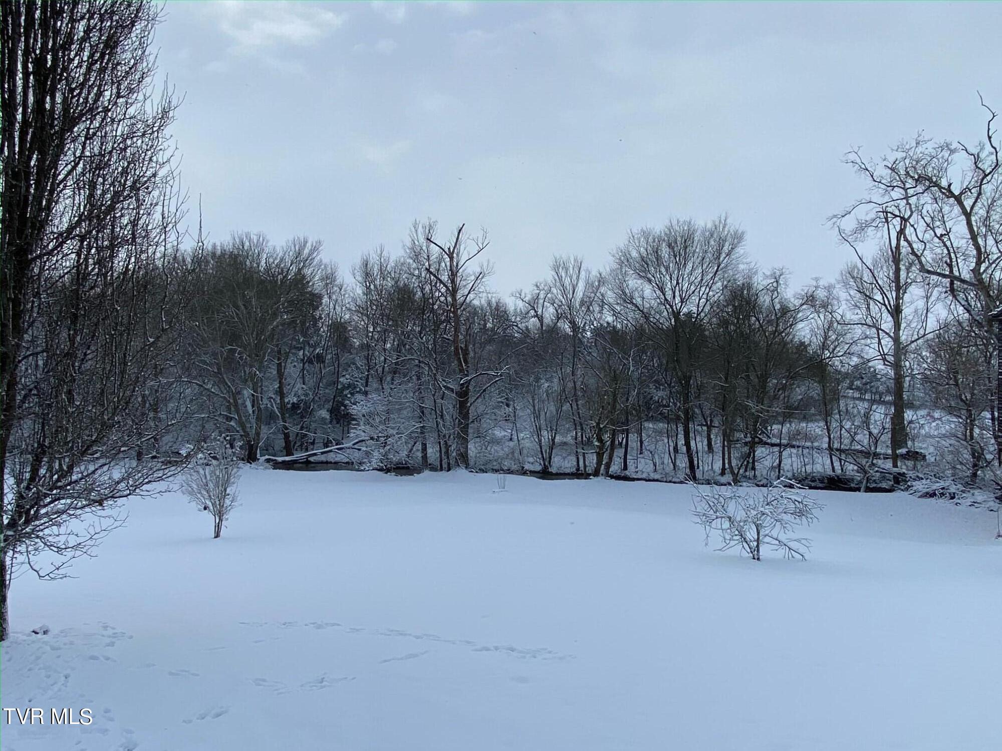 243 Bowmantown Road Jonesborough, TN 37659 - Photo 104 of 113 IMG_6305