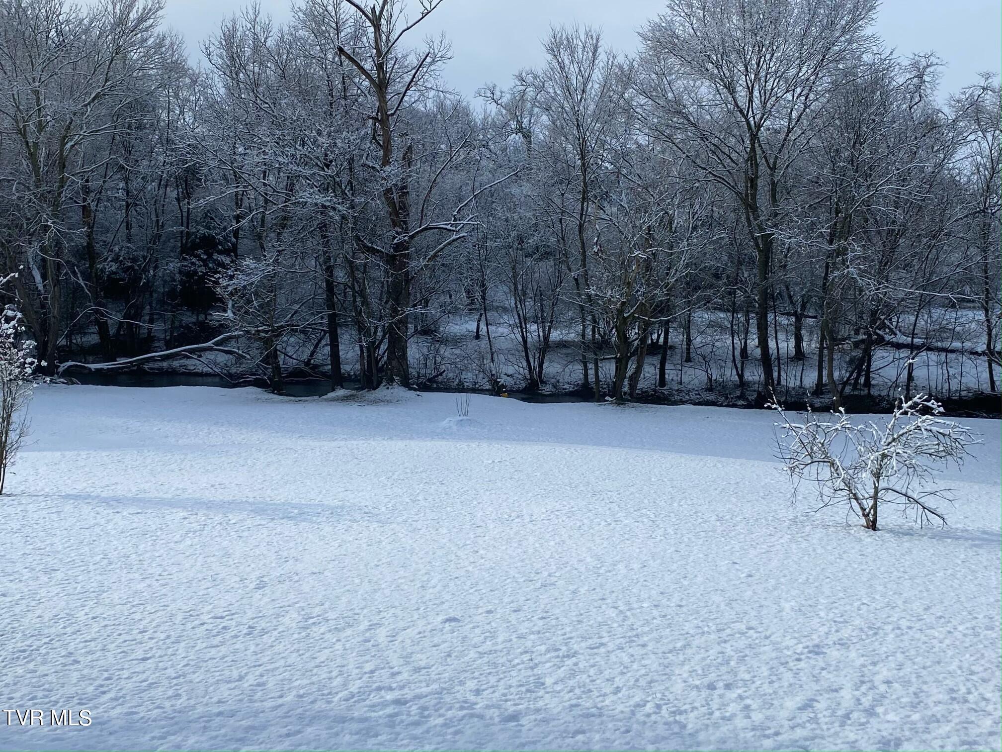 243 Bowmantown Road Jonesborough, TN 37659 - Photo 109 of 113 IMG_6506