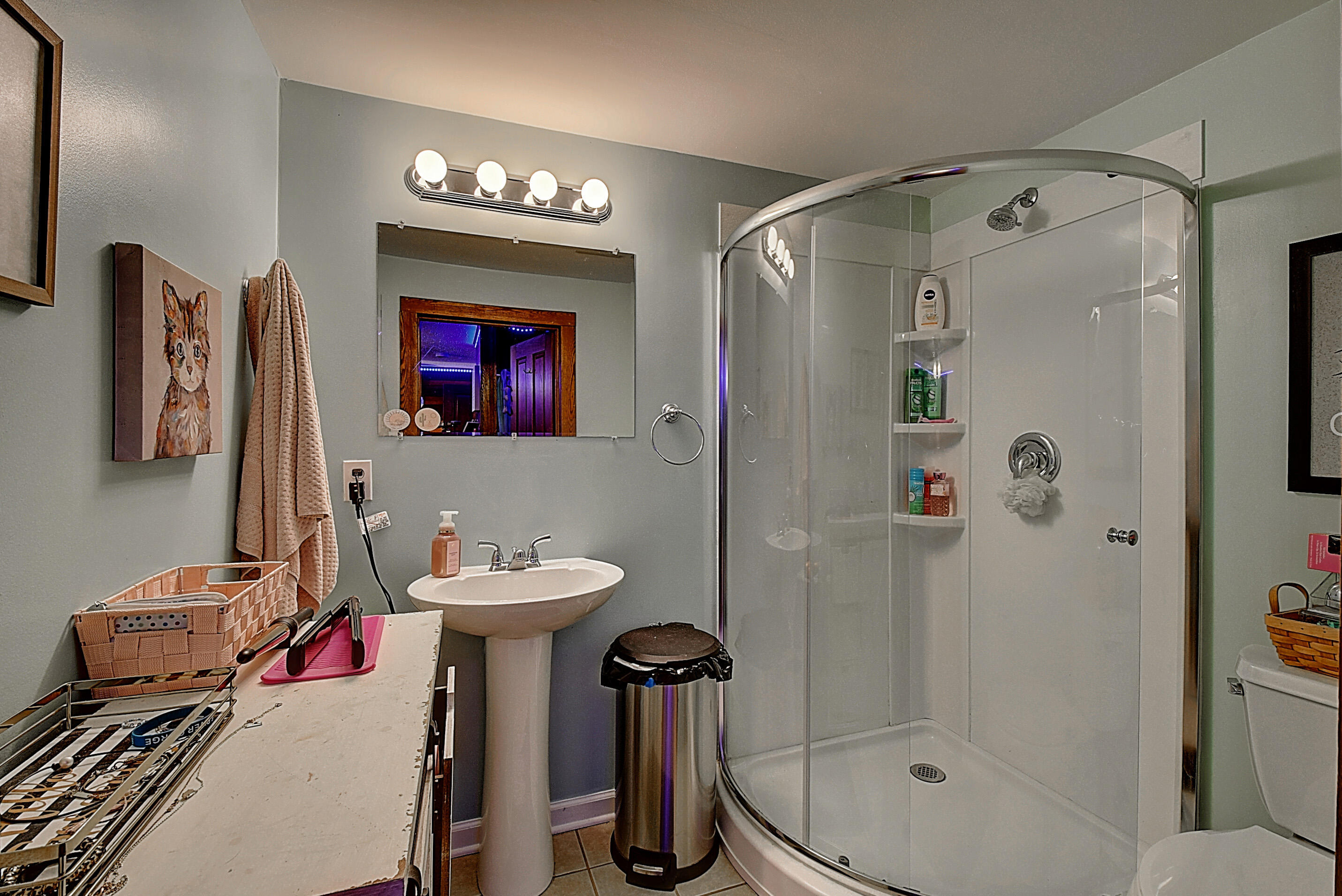 243 Bowmantown Road Jonesborough, TN 37659 - Photo 38 of 113 DSC_0550And8more