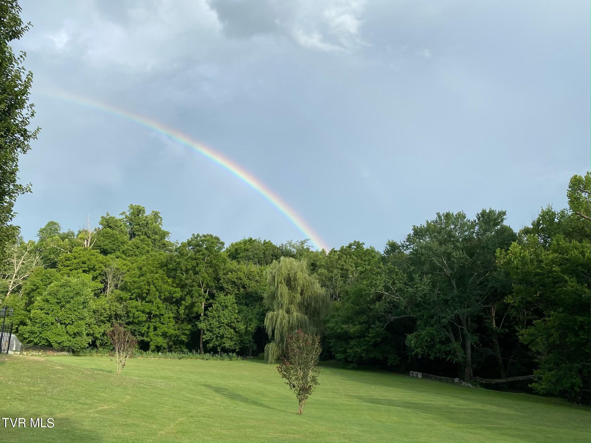 243 Bowmantown Road Jonesborough, TN 37659 - Photo 66 of 113 IMG_5297