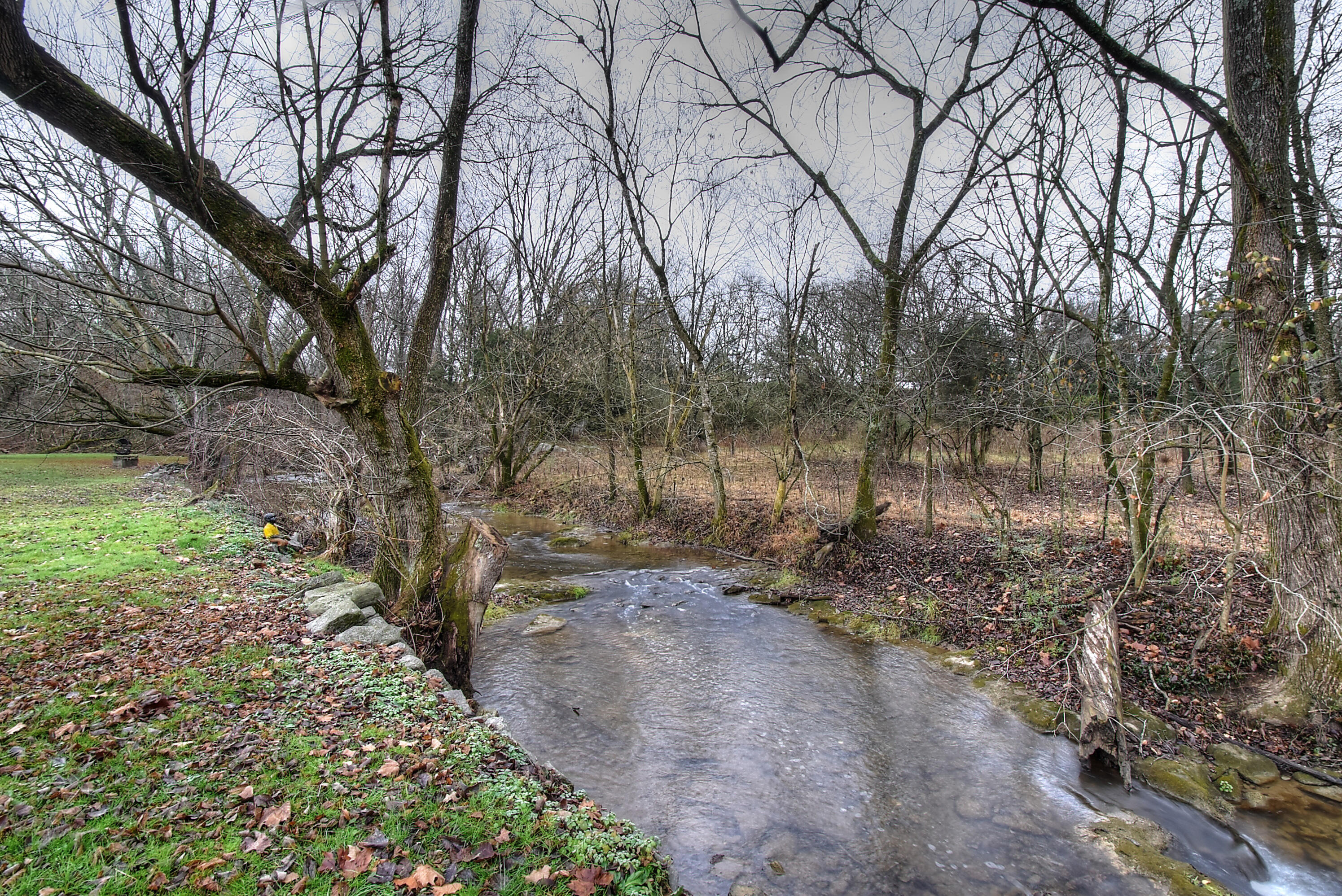 243 Bowmantown Road Jonesborough, TN 37659 - Photo 73 of 113 DSC_0991_2_3_4_5_9