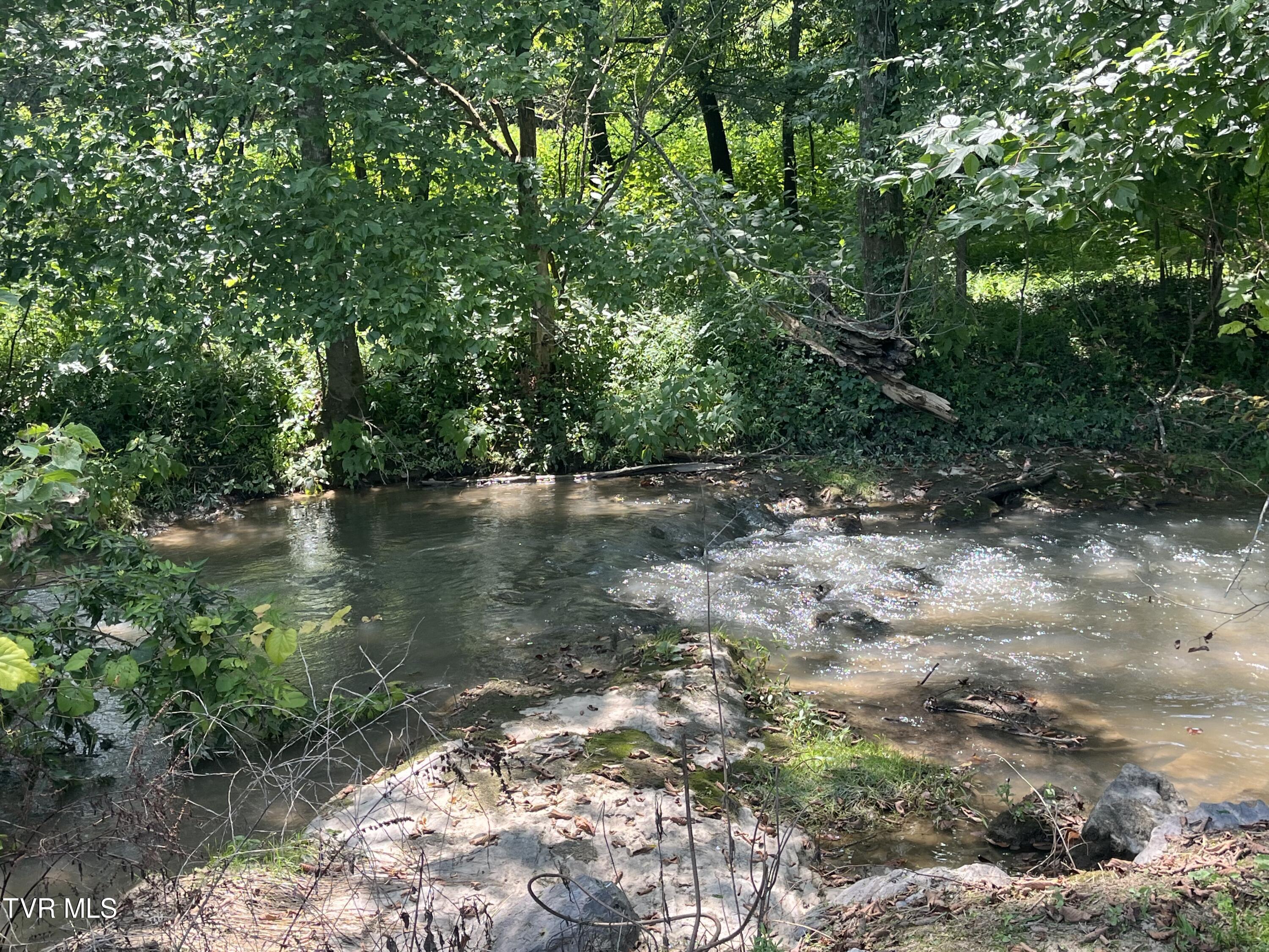 243 Bowmantown Road Jonesborough, TN 37659 - Photo 74 of 113 IMG_0308