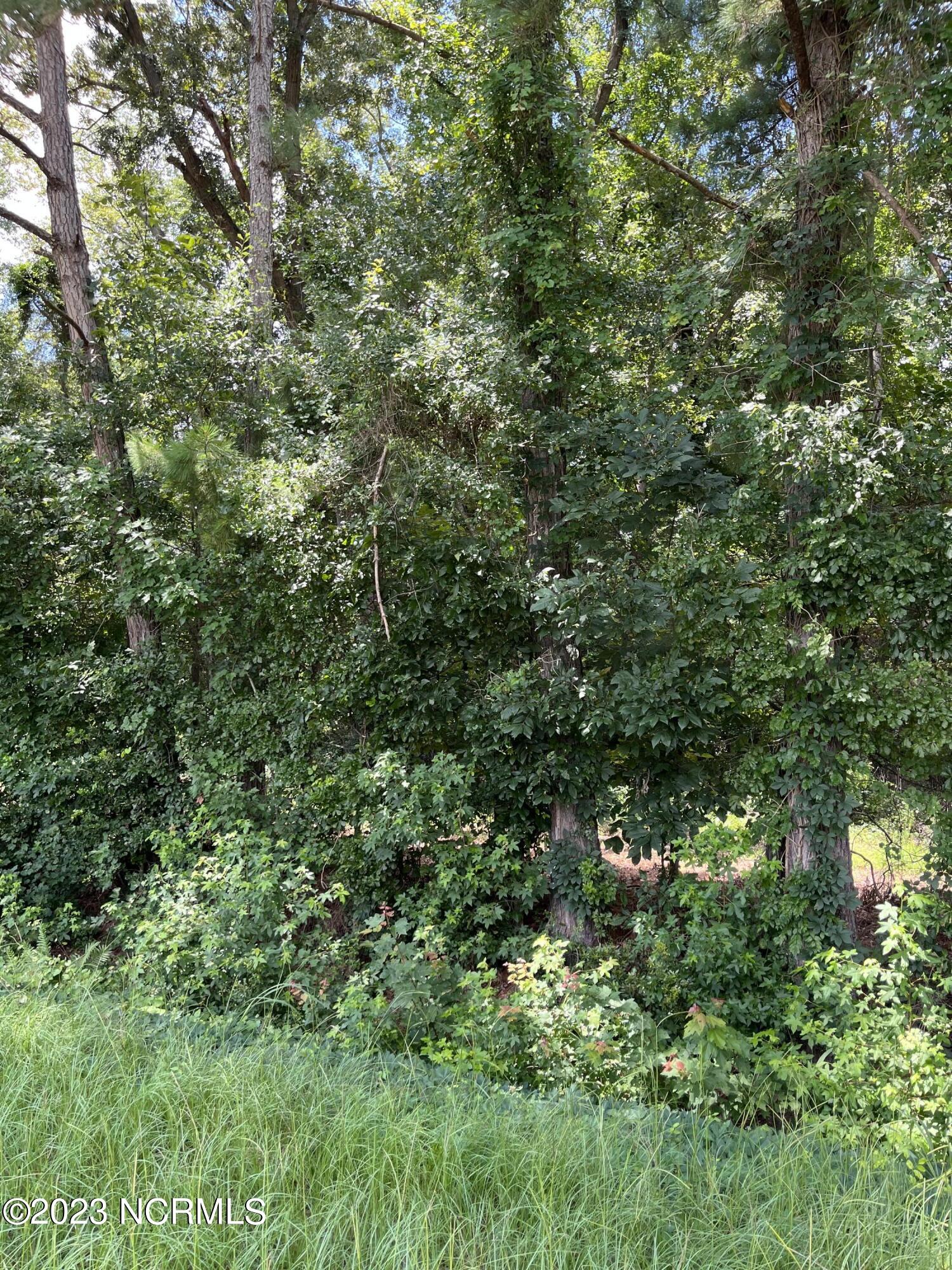 0 Dewitt Gooden Road Elizabethtown, NC 28337 - Photo 3 of 5 IMG-7385