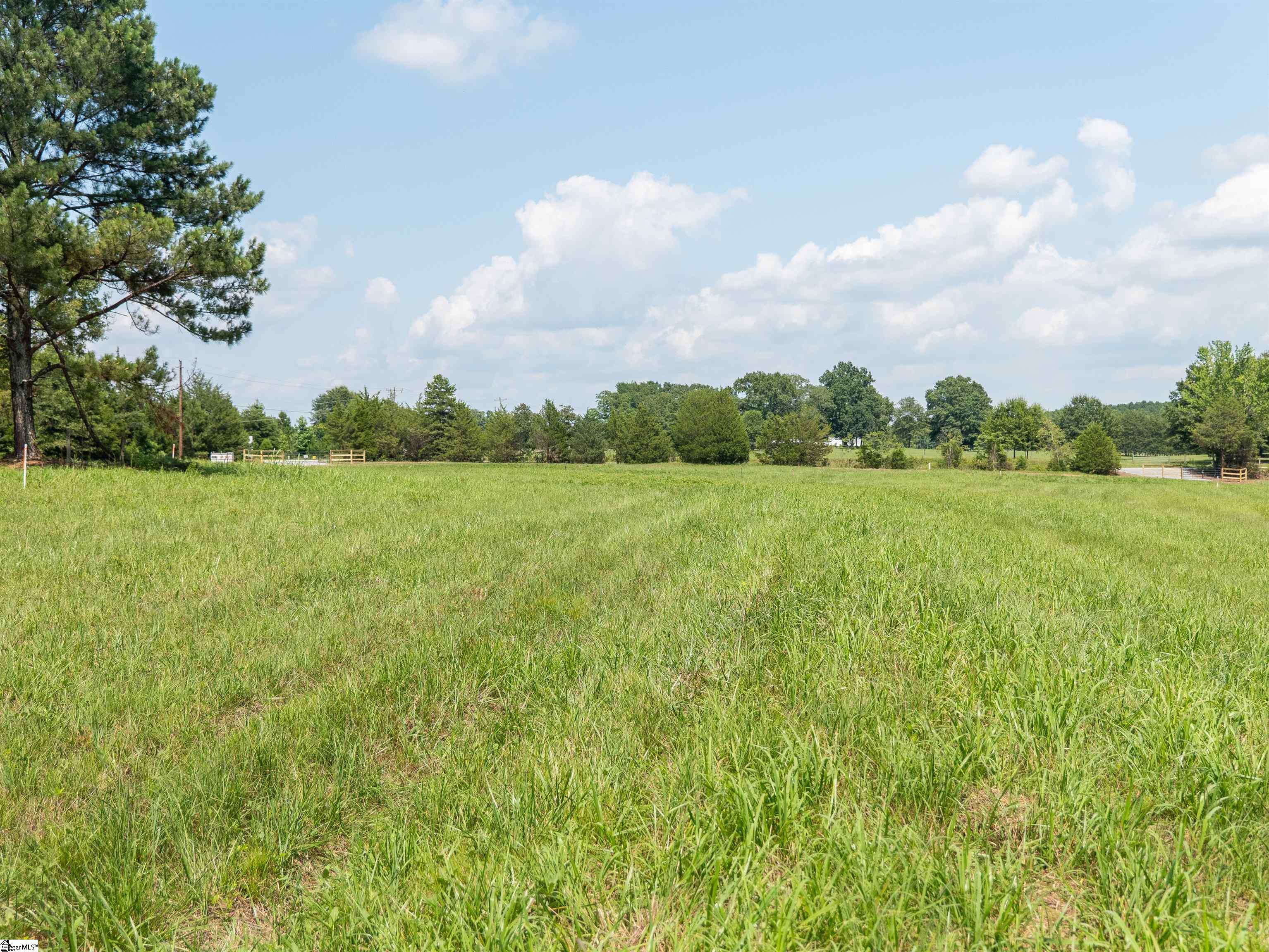 0 Cheek Road, Unit LOT 2 Gray Court, SC 29645 - Photo 22 of 23