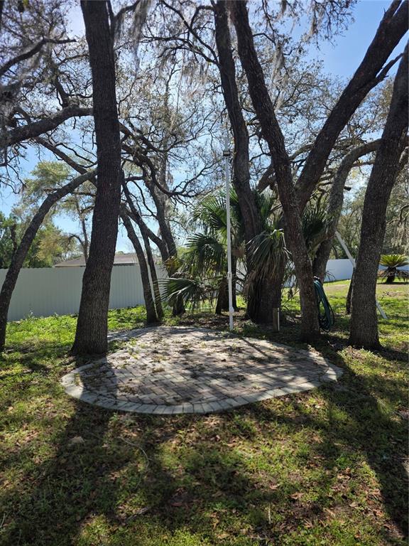 13128 Hazelcrest Street Spring Hill, FL 34609 - Photo 45 of 46 a view of a tree in the middle of a yard
