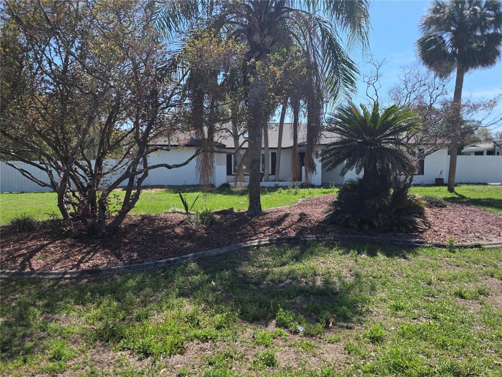 13128 Hazelcrest Street Spring Hill, FL 34609 - Photo 7 of 46 a view of a garden with a tree