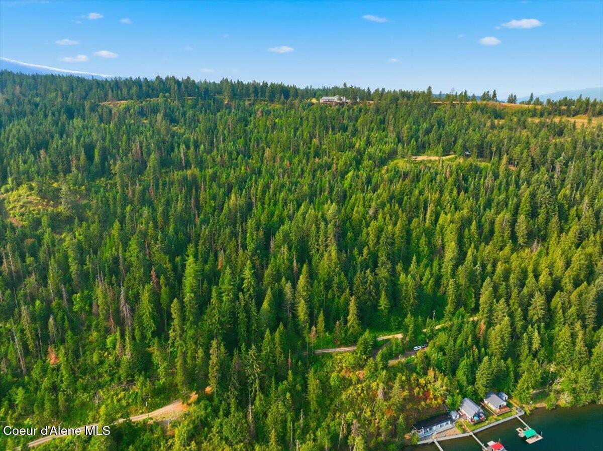 Nna South Eddyville Road Harrison, ID 83833 - Photo 6 of 32 06-S Eddyville Rd_RedHogMedia
