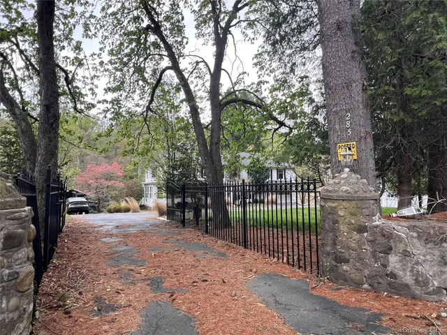 a view of a yard with plants and trees