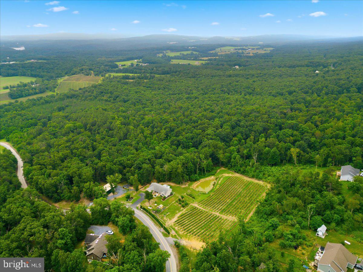 1309 Redland Road Cross Junction, VA 22625 - Photo 71 of 119