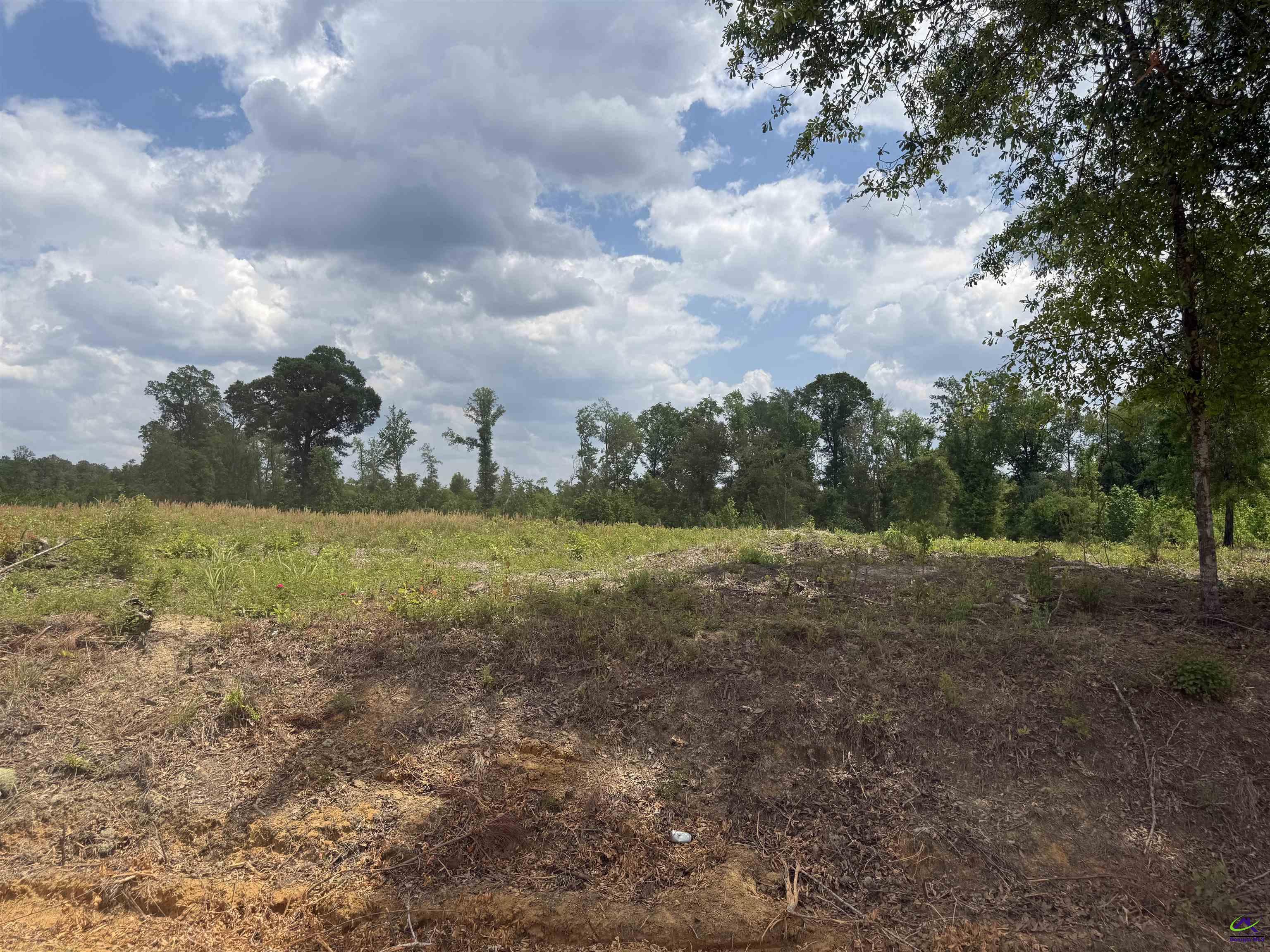 JD Williams Road Cadwell, GA 31009 - Photo 2 of 6