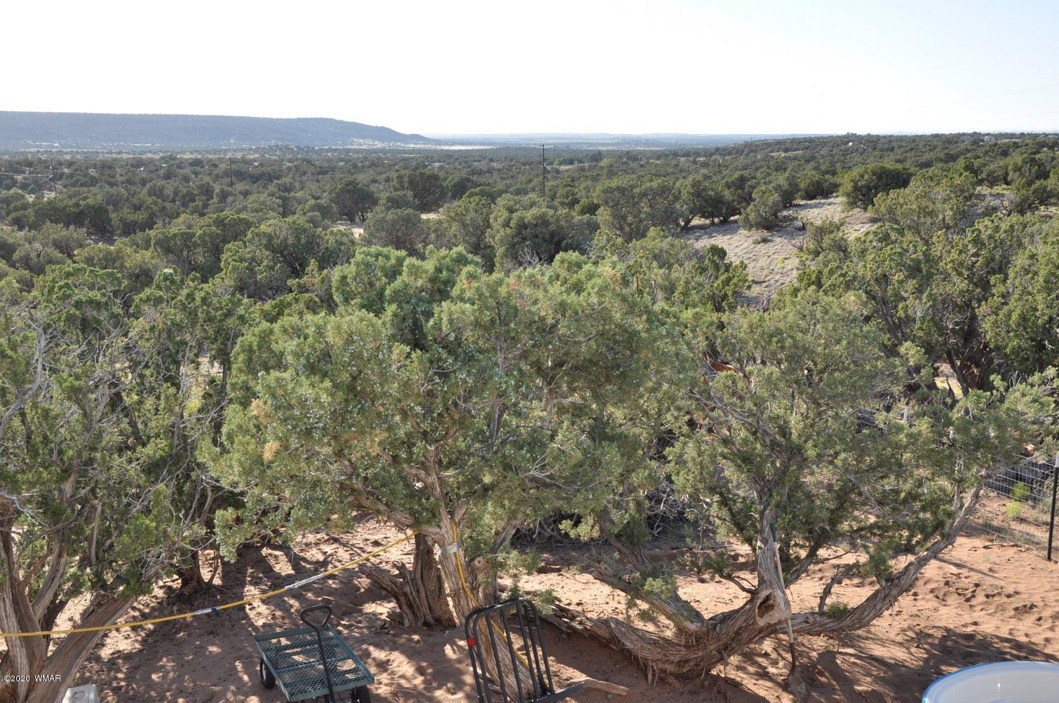 4241 Colt Road Snowflake, AZ 85937 - Photo 11 of 28 a view of a mountain in the distance
