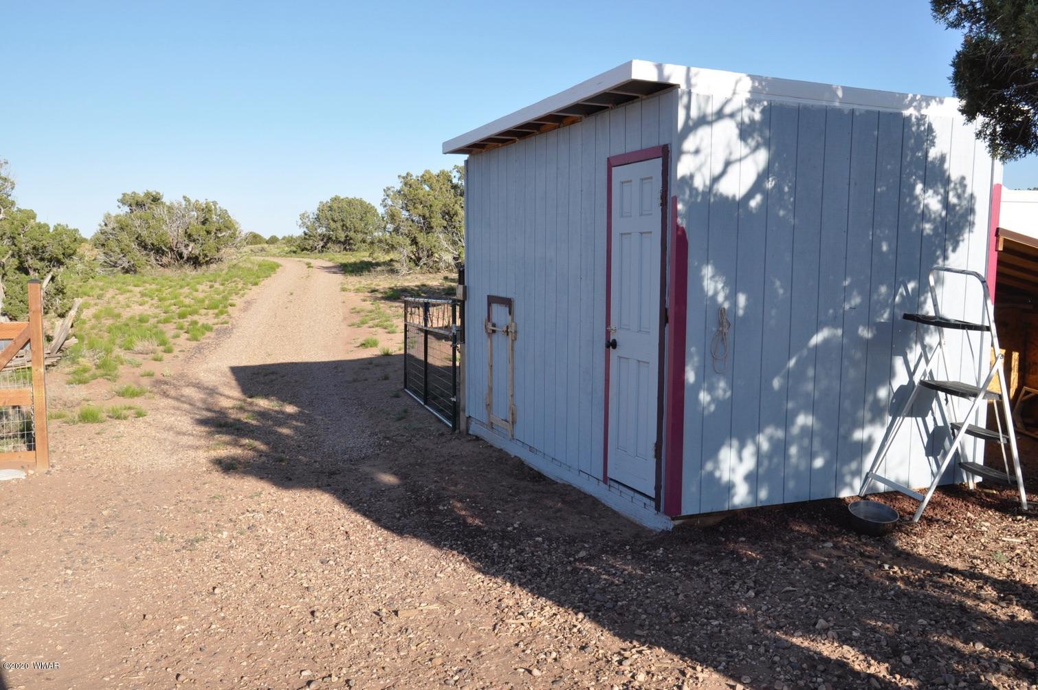 4241 Colt Road Snowflake, AZ 85937 - Photo 15 of 28 a view of a house with a yard