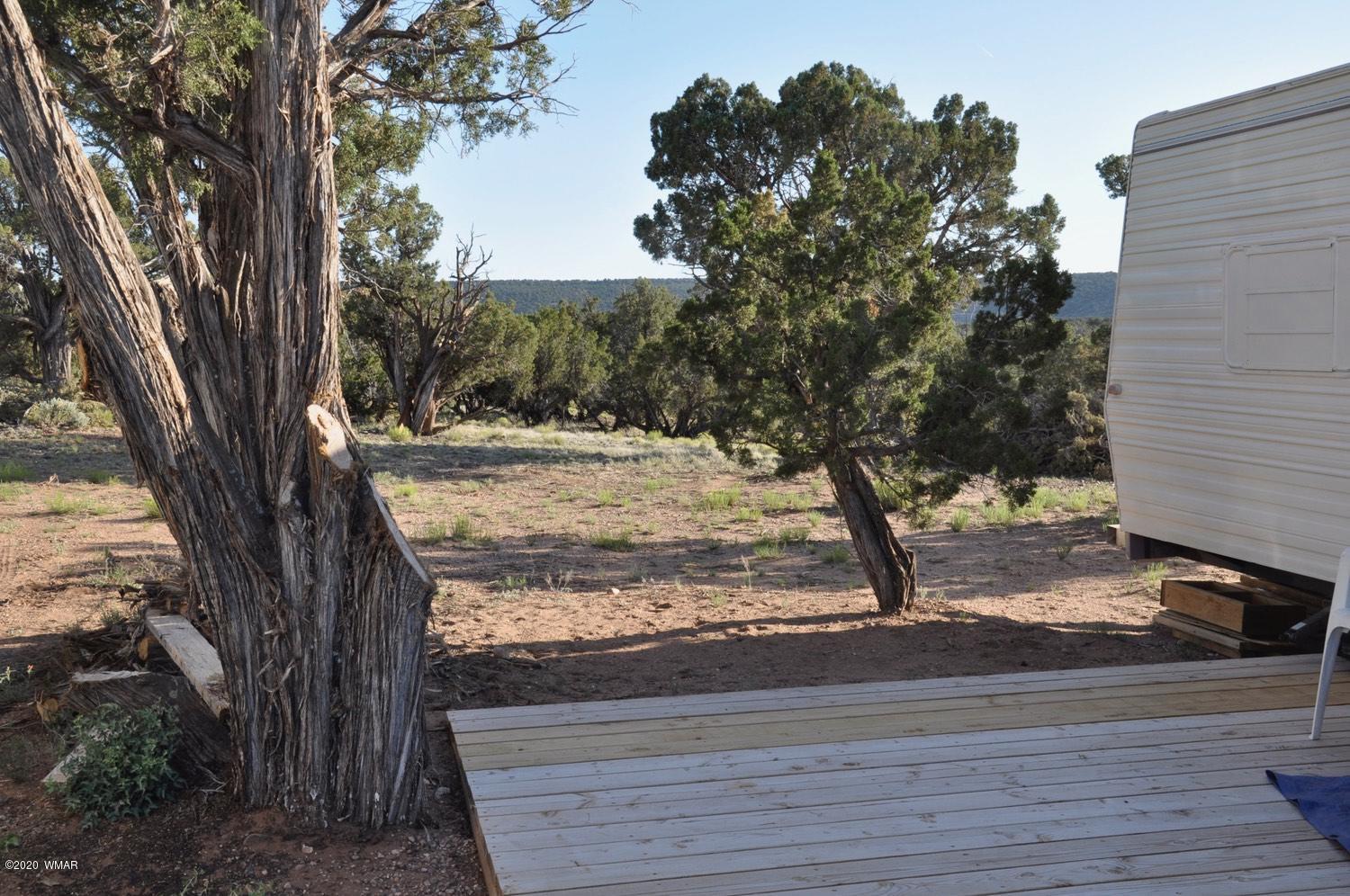 4241 Colt Road Snowflake, AZ 85937 - Photo 19 of 28 a view of a yard with wooden fence