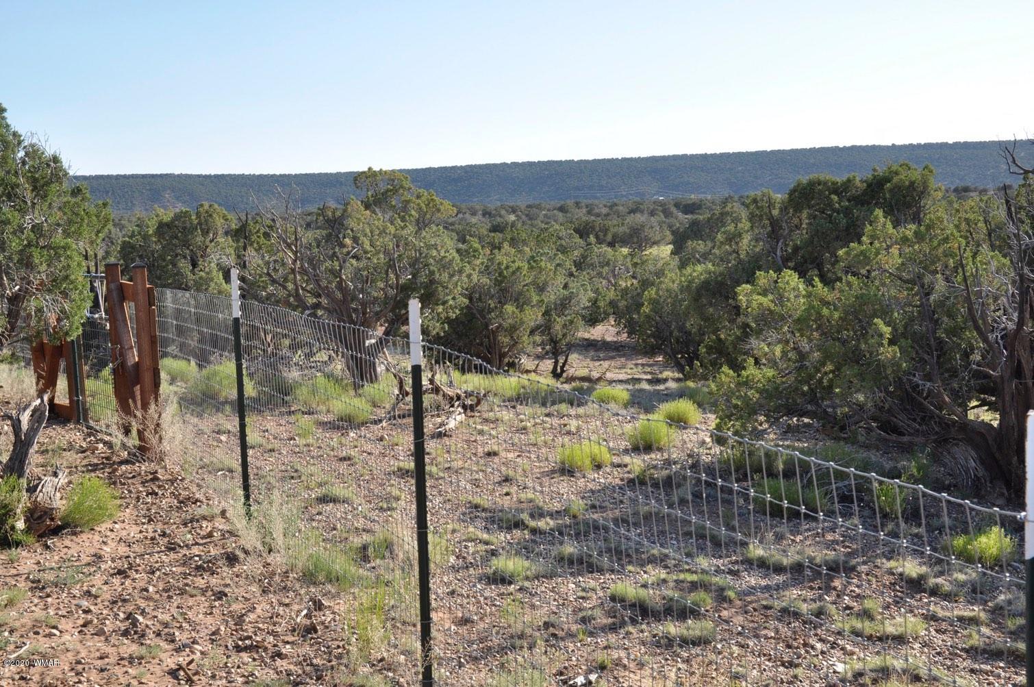 4241 Colt Road Snowflake, AZ 85937 - Photo 23 of 28 a view of a forest with a tree in the background