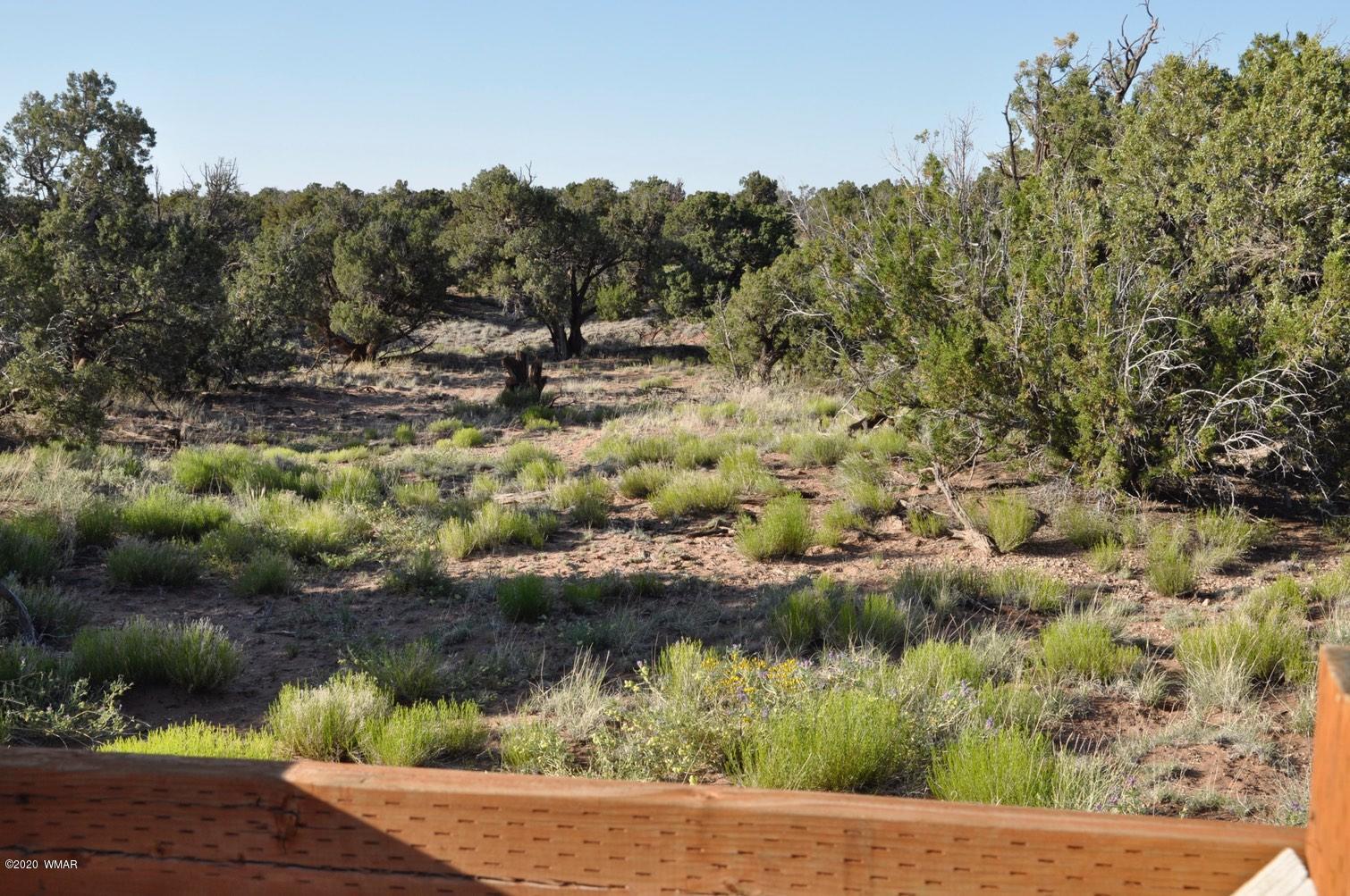 4241 Colt Road Snowflake, AZ 85937 - Photo 24 of 28 a view of a lake with a park