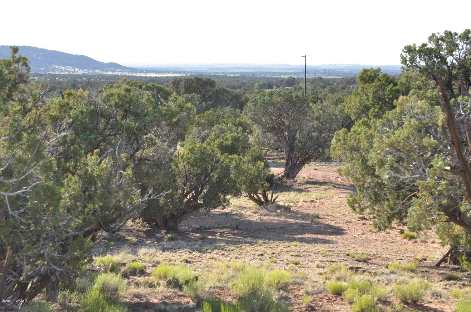4241 Colt Road Snowflake, AZ 85937 - Photo 25 of 28 a view of a yard with a tree