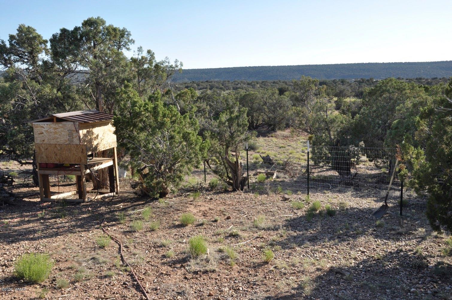 4241 Colt Road Snowflake, AZ 85937 - Photo 26 of 28 a view of a outdoor space