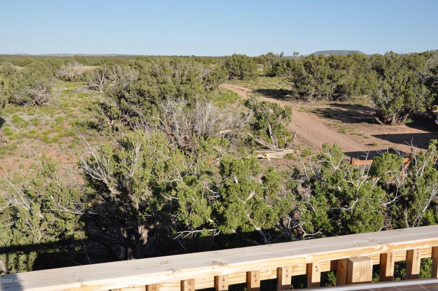 4241 Colt Road Snowflake, AZ 85937 - Photo 10 of 28 a view of a yard with wooden fence